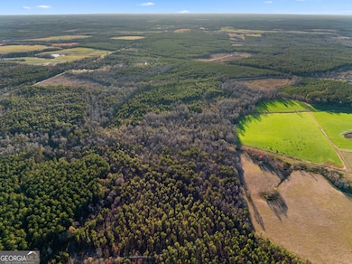 0 Thomas Rd unit 10647908, Millen, GA 30442 - photo 2