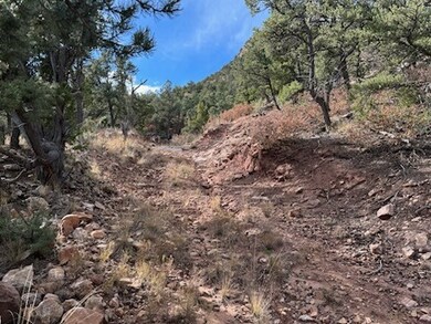 Tracts D1, D2-A, D2- Dragonfly Canyon Rd, Rowe, NM 87562 - photo 7