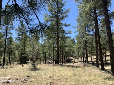 2343 E Del Rae Dr unit 176, Flagstaff, AZ 86001 - photo 4