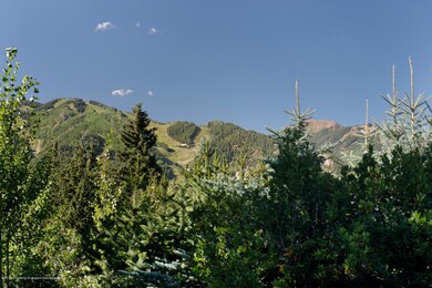 E Reds Rd Aspen CO 81611 USA-large-011-E