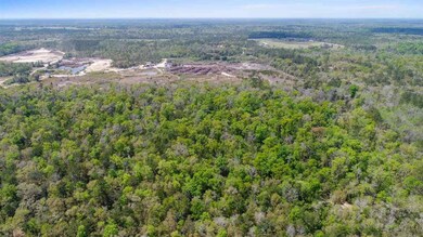 0 McMyers Ln, Crawfordville, FL 32327 - photo 4