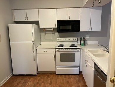 4500 Kings Walk Dr unit 2A, Rolling Meadows, IL 60008 - photo 4