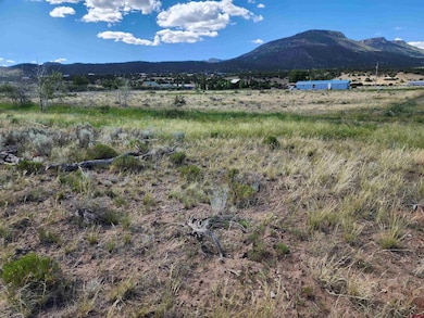 157 Red Feather Rd, South Fork, CO 81154 - photo 2