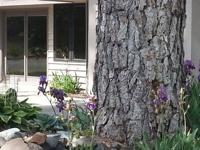 204 E Silver Pines Ct, Colbert, WA 99005 - photo 6