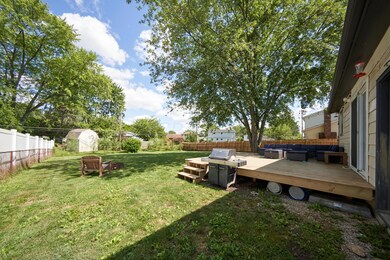 Huge Back Yard