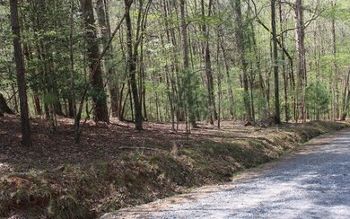 L3475 Cherry Ct, Ellijay, GA 30540 - photo 4