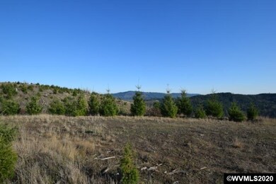 22000 Highway 47 (Block), Gaston, OR 97119 - photo 6