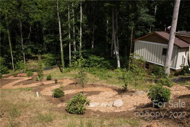 Meandering Paths Lead to Park and Trails