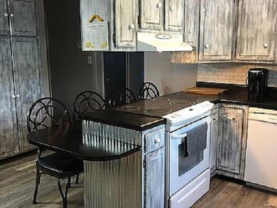 1101 W Ogara St, Harrisburg, IL 62946 - photo 6