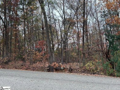 11 Pleasant Grove St, Welcome, SC 29611 - photo 7