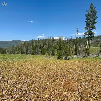 Photo of actual land and view from land