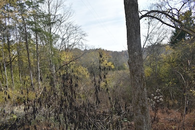 0 Gladdice Hwy unit RTC3042612, Gainesboro, TN 38562 - photo 4