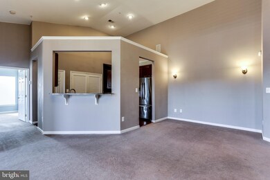 7210 Darby Downs unit Q, Elkridge, MD 21075 - photo 4