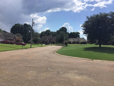 1684 Sandpiper Cove N, Hernando, MS 38632 - photo 5