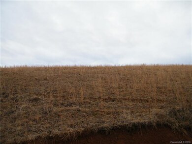 12.406 acres Turkey Creek Rd, Leicester, NC 28748 - photo 7