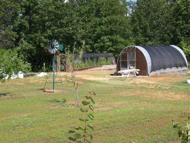 Yard/Garden.
