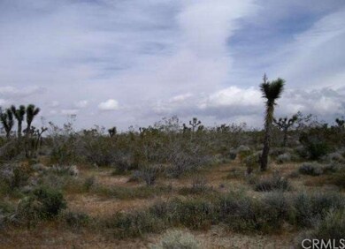 Standing at south of property, looking east.