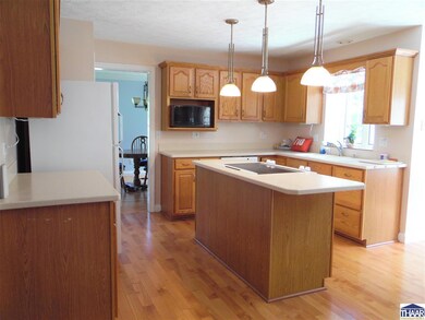 710 S Dobbs Glen St, Terre Haute, IN 47803 - photo 5