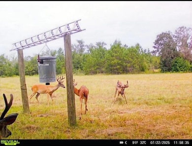 650 Flowers Rd, Madison, FL 32340 - photo 7