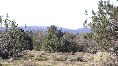 10955 Howard Mesa Loop, Williams, AZ 86046 - photo 7
