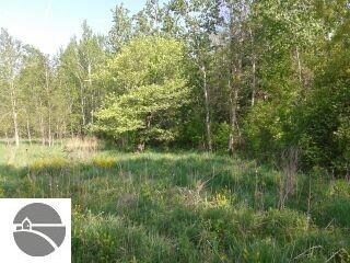 N/A Tonkey Rd, Turner, MI 48765 - photo 3