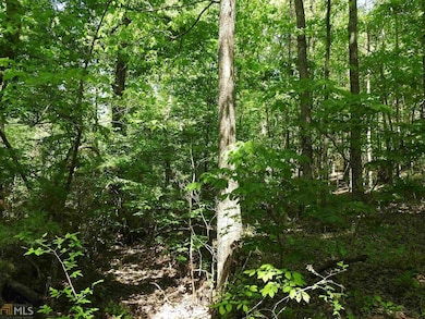 0 Griffin Rd NW unit 5007-PARCEL 1, Cartersville, GA 30120 - photo 5