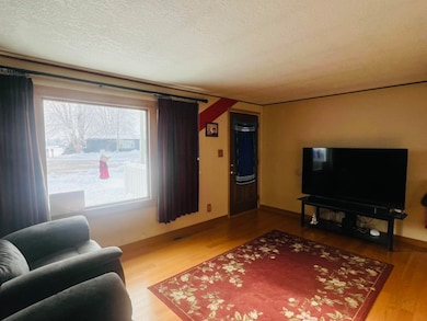 312 W Garfield St, Pearl City, IL 61062 - photo 3