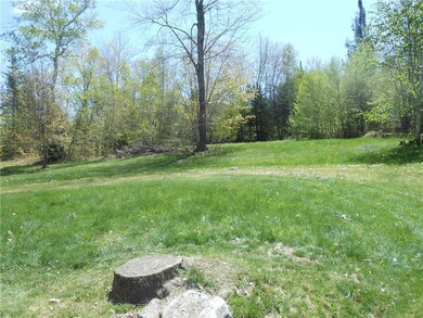 part of the large yard