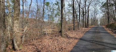 45 Coosa View Ln, Riverside, AL 35135 - photo 6