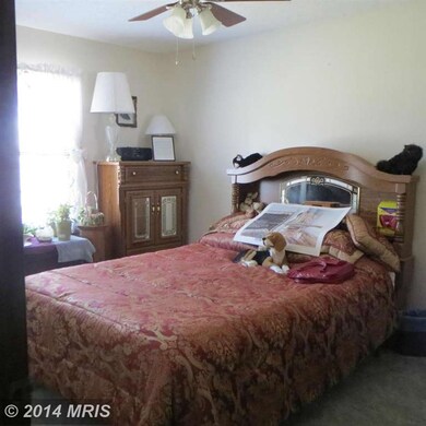 677 Marple Rd, Winchester, VA 22603 - photo 6