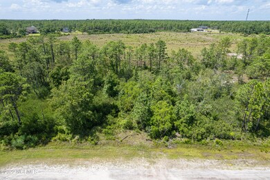 Lot 29 W South Shore, Boiling Spring Lakes, NC 28461 - photo 6