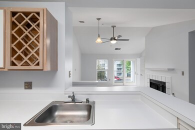 4406 Silverbrook Ln unit J302, Owings Mills, MD 21117 - photo 5