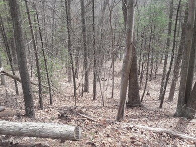 0 Christian Hill Rd, Dingman Township, PA 18337 - photo 5