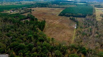 0 Bethel Rd unit TRACT 8 10425061, Sylvania, GA 30467 - photo 4