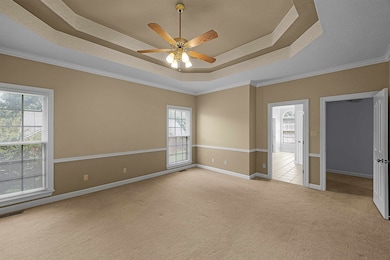 Carpeted empty room with a raised ceiling, a ceiling fan, and crown molding