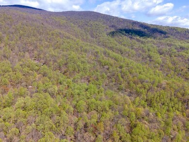 TBD Red Bird Dr, Stanardsville, VA 22973 - photo 6