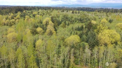 16201 30th Ave NW, Lake Goodwin, WA 98292 - photo 7