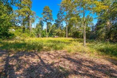 2423 Hickory Hollow Ln, Spring, TX 77386 - photo 5