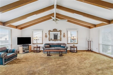 Living room with 11 ft vaulted ceiling, floor to ceiling windows overlooking the front & backyards. Believe there are original wood floors underneath the carpet in this room.