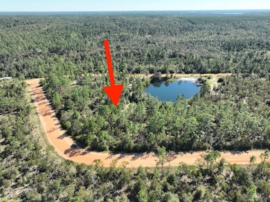 0 Richland St, Alford, FL 32420 - photo 6