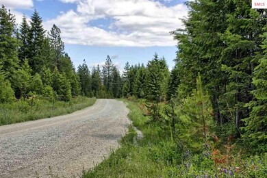 Lot B7 Northern Sky Rd, Athol, ID 83801 - photo 7