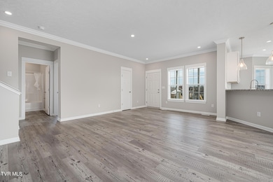 131 New Hope Rd, Jonesborough, TN 37659 - photo 6