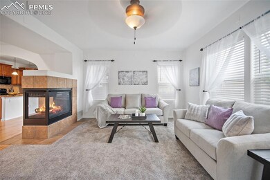Main level living room with lots of natural light. Open to the dining and kitchen with a double sided gas fireplace.
