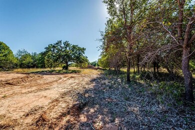 Lot 33 Graystone Dr, Millsap, TX 76066 - photo 4