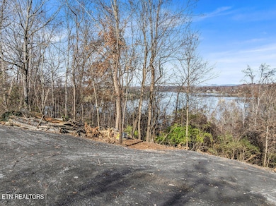 4125 Gravelly Hills Rd, Louisville, TN 37777 - photo 4