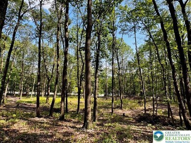 5 Foothill Blvd, Chestnuthill Township, PA 18330 - photo 5