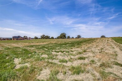 TBD Swallowtail, Poolville, TX 76487 - photo 4