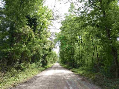 0 Choctaw Rd unit 358394, Crawfordville, FL 32327 - photo 2