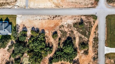 116 S Silver Saddle Trail, Weatherford, TX 76087 - photo 5