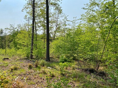 00 Dingley Spring Rd, Gorham, ME 04038 - photo 5